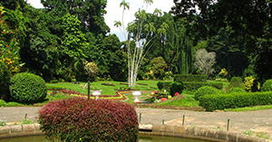 Peradeniya Botanical Gardens