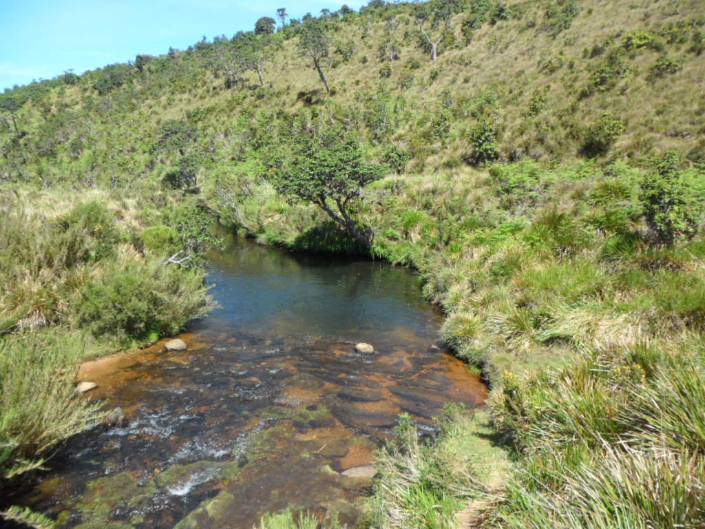 Horton-Plains-National-Park