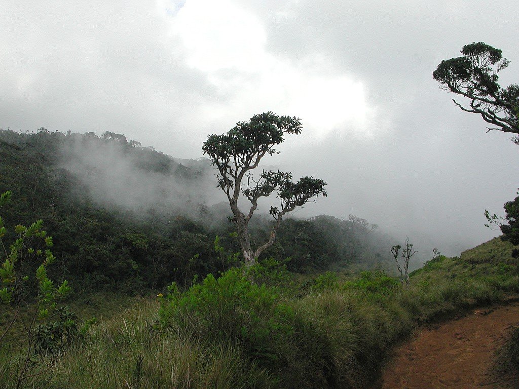 Horton-Plains-National-Park