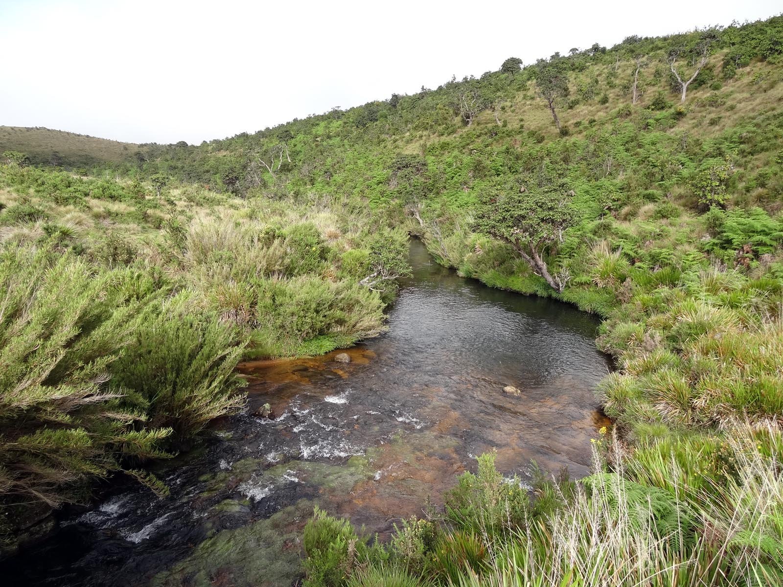 Horton-Plains-National-Park