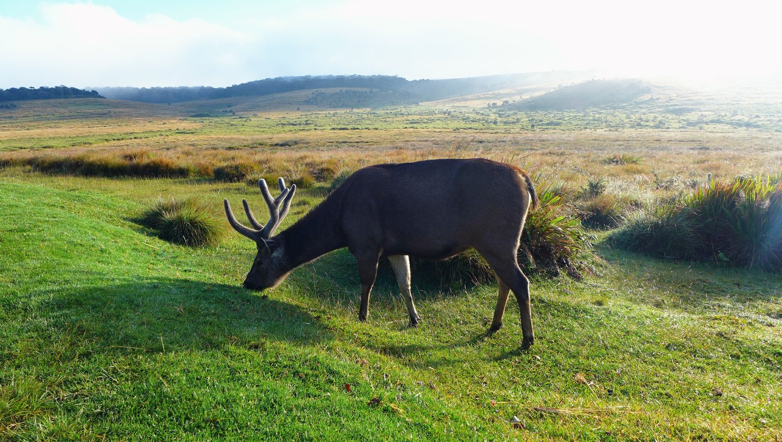 Horton-Plains-National-Park