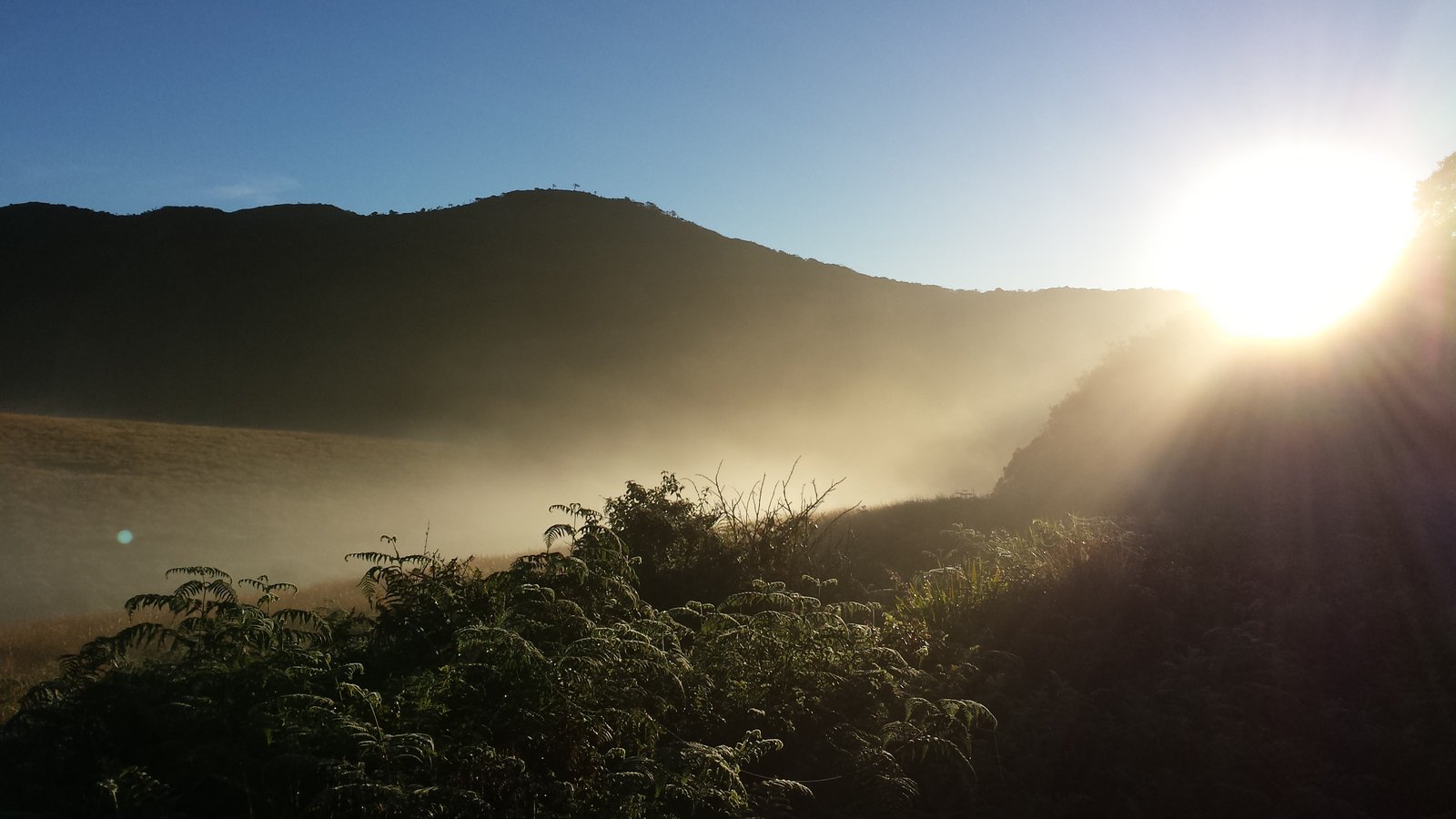 Horton-Plains-National-Park